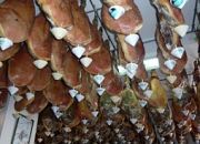 Gastronomía de la Alpujarra