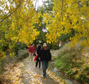 SENDERO DE LAS CASTAÑAS