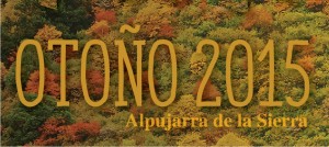 otoño 2015